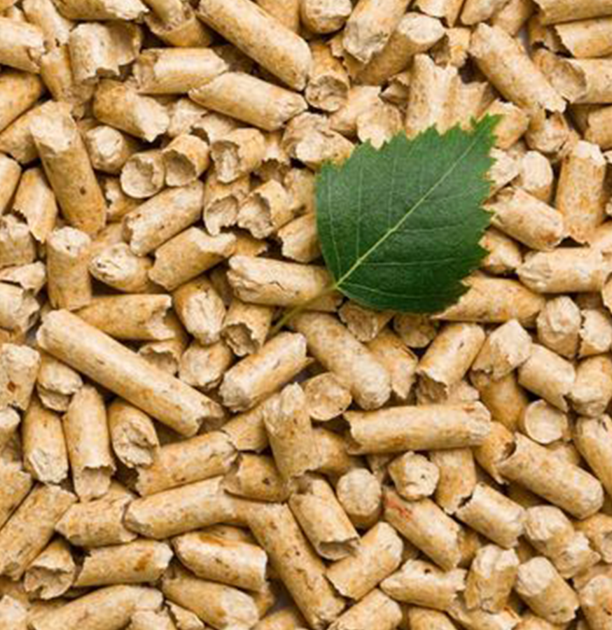 Cattle Feeds